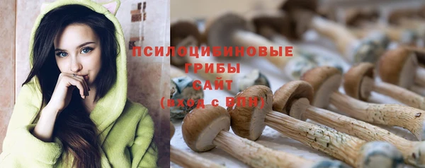 героин Абаза