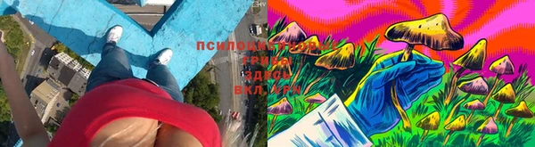 твердый Алексеевка