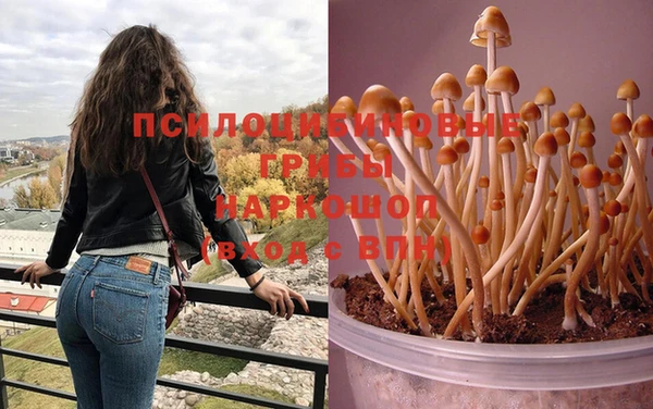 твердый Алексеевка