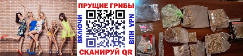 Галлюциногенные грибы Psilocybe  кракен рабочий сайт  Родники  продажа наркотиков 